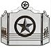 RUSTIC METAL LONE STAR FIREPLACE SCREEN