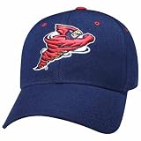 Zephyr Iowa St. Cyclones Dhs Fitted Hat 7 1/8