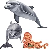 Danny and Dolly the Dolphins Dry Rub Transfer Kit