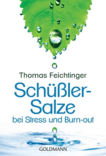 Schüßler-Salze bei Stress und Burn-out (German Edition)
