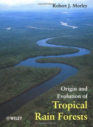 Origin and Evolution of Tropical Rain Forests On Sale