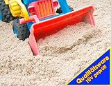 100kg Spielsand Quarzsand TÜV geprüft TOP Qualität 0 - 2 mm Sandkasten