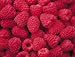 Raspberries Dehydrated Dried Survival Food - #10