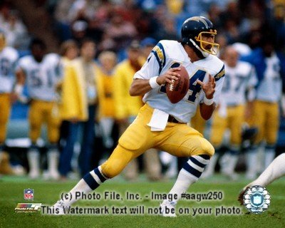 Dan Fouts 8x10 Color Photo