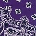 Paisley Bandana Card-Purple