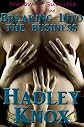 Breaking Into the Business (Madam of Suburbia Book 1)