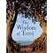 Learn the Celtic Oracle of the Ogham.