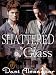 Shattered Glass