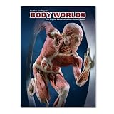 Body Worlds - The original exhibition of real human bodies