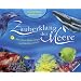 Zauberklang der Meere