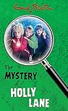 The mystery of Holly Lane