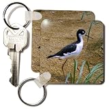 Edmond Hogge Jr Birds - Black-Necked Stilt - Key Chains