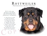 Rottweiler Human Trainer Mouse Pad Dog Mousepad