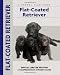 Flat-Coated Retriever (Comprehensive Owners Guide)