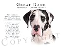 Great Dane Harlequin "Human Trainer" Mouse Pad Dog Mousepad