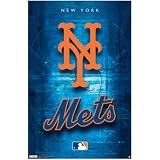 (22x34) New York Mets Logo 2011 Sports Poster Print