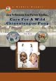 How To Convince Your Parents You Can Care for a Wild Chincoteague Pony (How to Convince Your Parents You Can...)