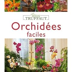 Orchid�es faciles