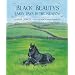 Black Beauty's Early Days in the Meadow (Classic Picture Books)