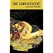 The Convalescent (Mcsweeneys)