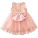 Mini Kitty Baby Girls Dresses Pageant Lace Formal Dress