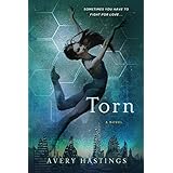 torn a novel the feuds series