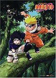 Naruto: Naruto & Sasuke Forest Wall Scroll