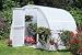 Early Bloomer Greenhouse - Dimensions: 8' x 8' x 6'3