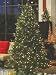 12' Pre-Lit Savannah Spruce Artificial Christmas Tree - Clear Lights