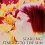 Staring to the Sun