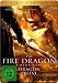 The Fire Dragon Chronicles - Dragon Quest - Metal-Pack [Limited Edition]