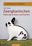Zwergkaninchen: Haltung in Haus und Garten