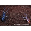 【ガス抜き済み】High effect新・完熟発酵マット★１０リットル袋入り【クワガタ採卵及び幼虫飼育用】(昆虫マット)