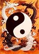 Yin Yang 30'' x 40'' Textile/Fabric Poster