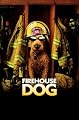 play video on Amazon Instant Video