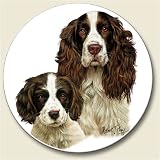 English Springer Spaniel Auto Coaster, Single Coaster for Your Car