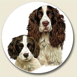 English Springer Spaniel Auto Coaster, Single Coaster for Your Car