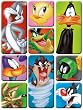 Looney Tunes 9 Piece Refrigerator Magnet Set