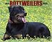Just Rottweilers 2009 Wall Calendar