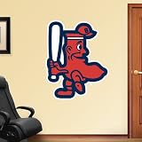 MLB Red Sox Throwback Logo Vinyl Wall Graphic Decal Sticker Poster