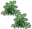 TWO 15" English Ivy, Pothos, Split Philo Mixed Artificial Home Decor Plant