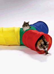 Cat Tunnel