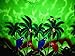 V.H.O Funky Hawaiian Shirt, Parrot, Green, XL