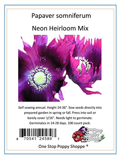 100 Poppy Flower Seeds. Papaver somniferum. Gorgeous Neon Heirloom Poppies by One Stop Poppy Shoppe. 100 Poppy Flower Seeds. Papaver somniferum. Gorgeous Neon Heirloom Poppies by One Stop Poppy Shoppe.