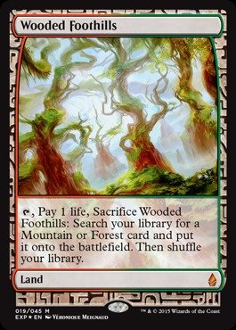 Magic: the Gathering - Wooded Foothills (019/045) - Expedition Lands - Foil