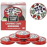 Mason Jar Lids - Decorative Canning Caps Fit Regular Mouth Mason Jars - Fruit Design - Pack of 6