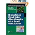 Identification and Characterization of Neural Progenitor Cells in the Adult Mammalian Brain... by Sara Gil-Perot&iacute;n, Arturo Alvarez-Buylla, and Jose Manuel Garcia-Verdugo