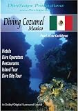 Dive Travel to Cozumel Mexico