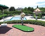 Tour Links PG-10PP-1 4 x 10 Ft Putting Green