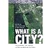 What Is a City?: Rethinking the Urban after Hurricane Katrina